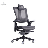 Silla Directiva Madagascar