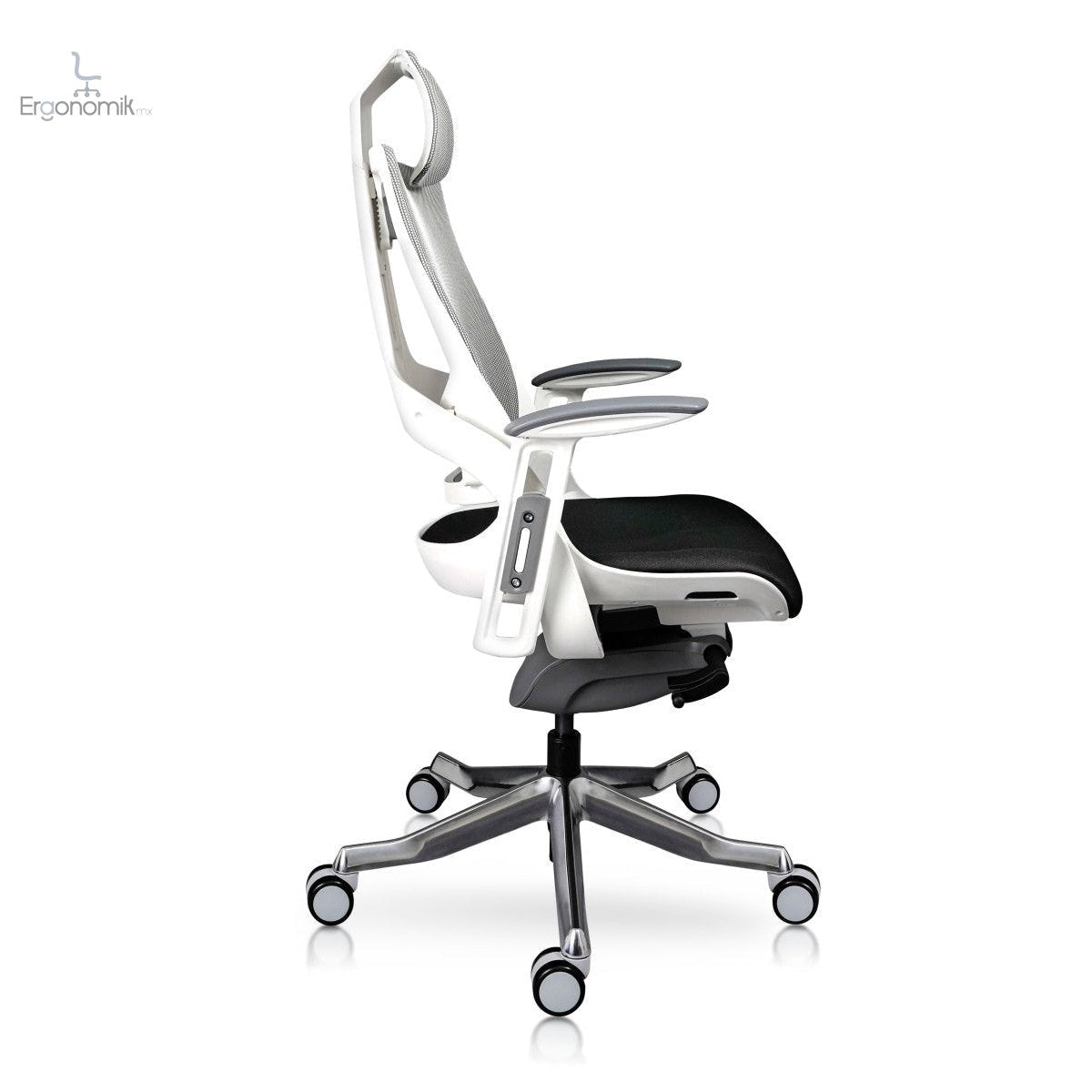 Silla Directiva Madagascar - Ergonomik silla directiva MEM