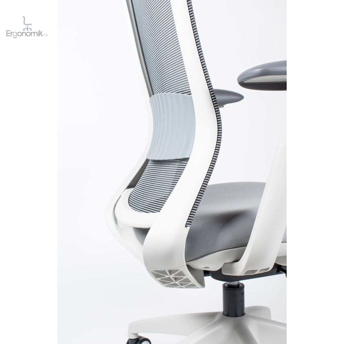 Silla Ejecutiva Curve - Ergonomik silla de oficina Requiez