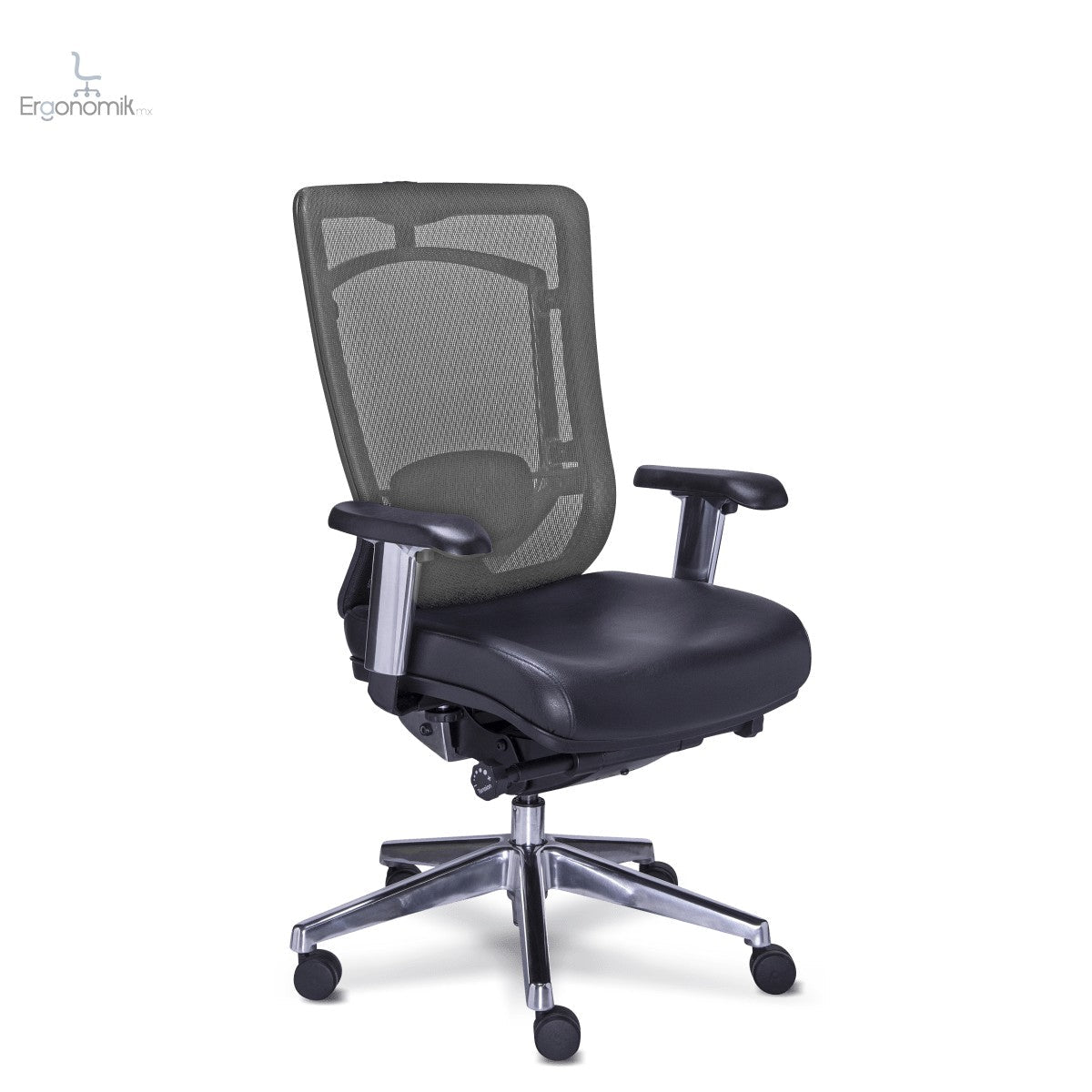 Silla Ejecutiva Dynamic - Ergonomik silla de oficina Requiez