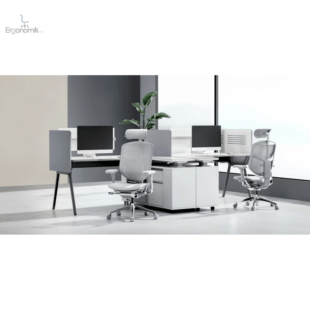 Silla Ejecutiva Enjoy - Ergonomik silla de oficina Requiez