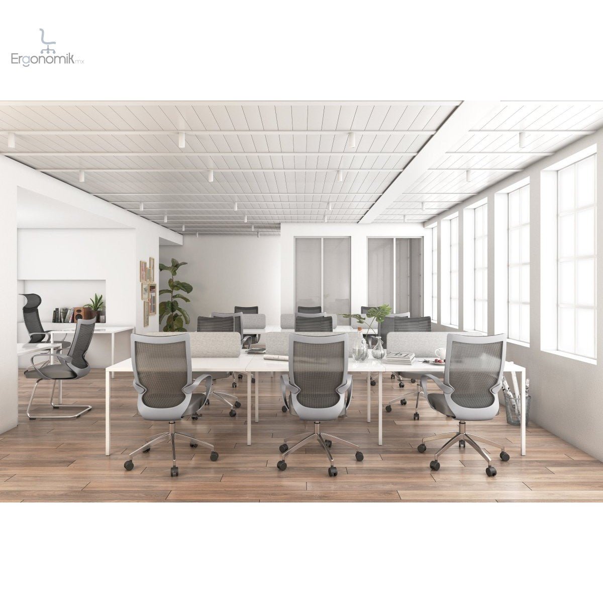 Silla Ejecutiva Equa - Ergonomik silla ejecutiva OFFIHO