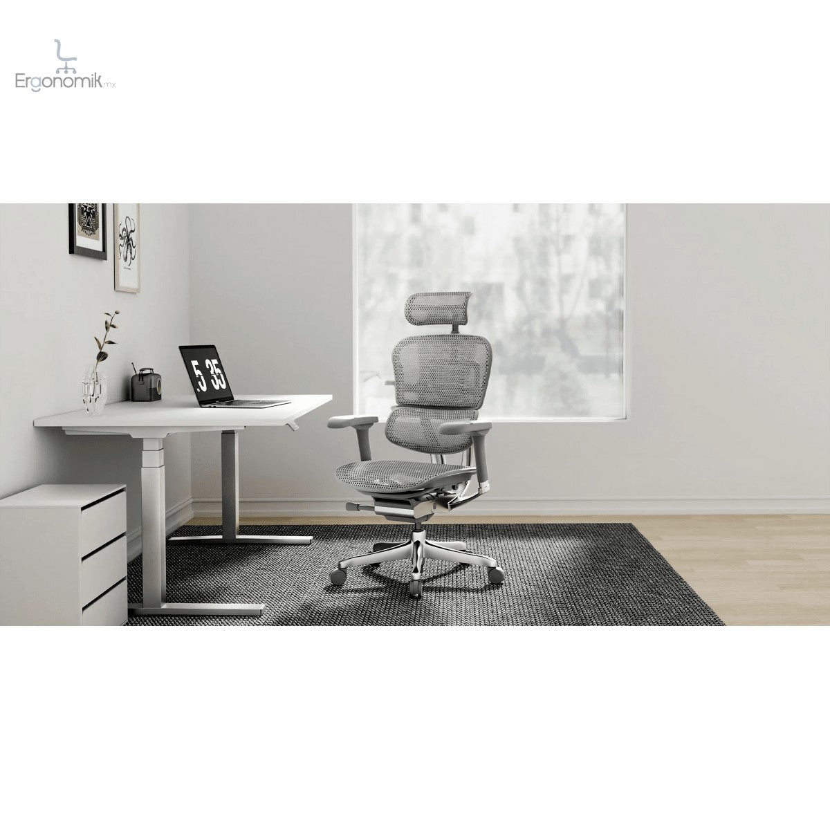 Silla Ejecutiva Ergohuman - Ergonomik silla de oficina Requiez