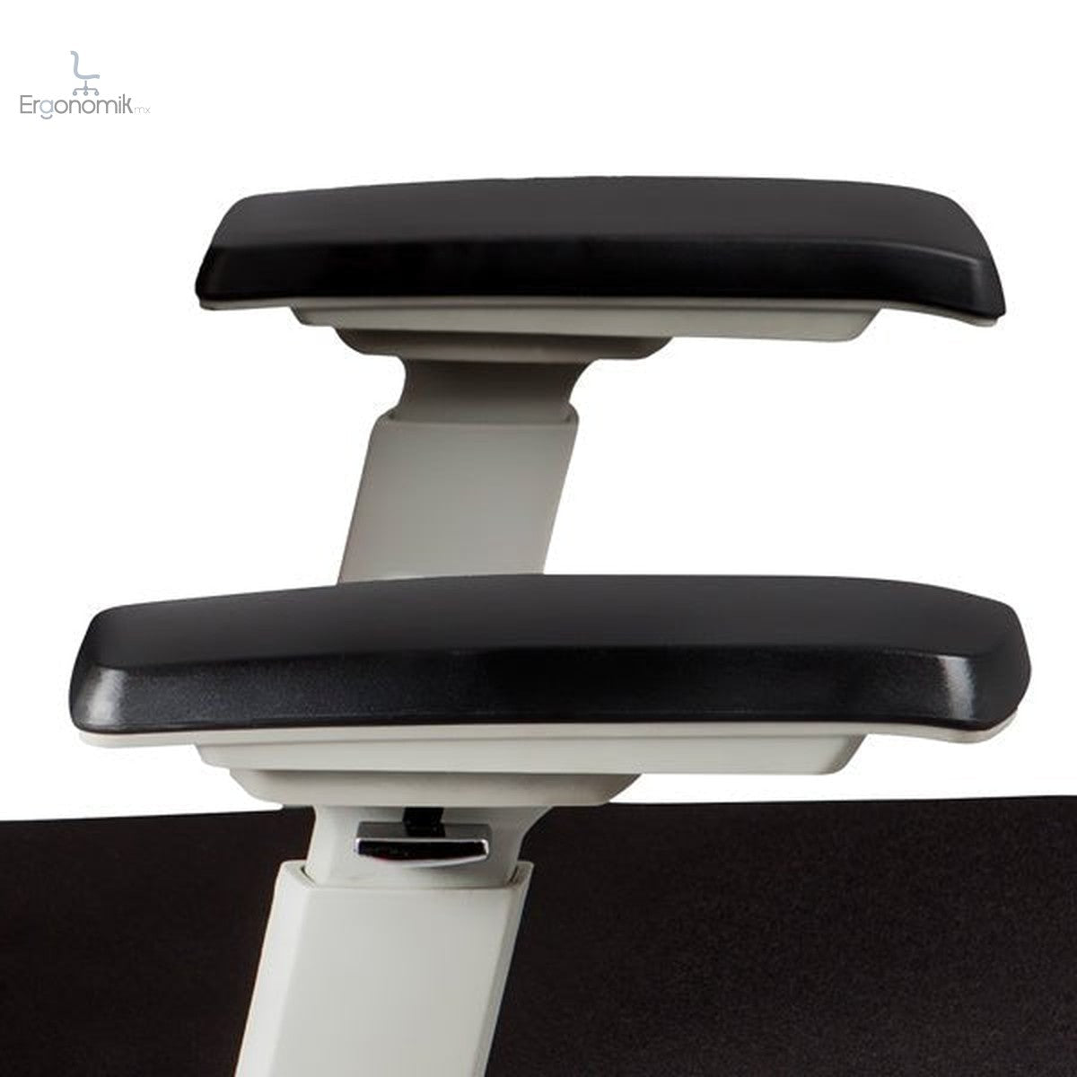 Silla Ejecutiva Finisterre - Ergonomik silla de oficina MEM