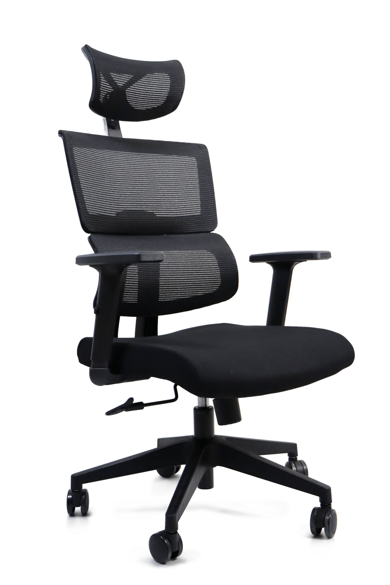 Silla Ejecutiva Portugal - Ergonomik silla ejecutiva MEM