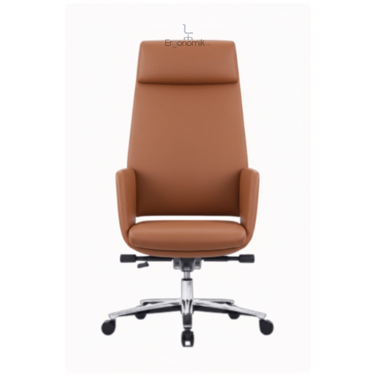 Silla Ejecutiva RE-6050 - Ergonomik silla de oficina Requiez