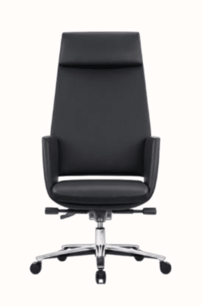 Silla Ejecutiva RE-6050 - Ergonomik silla de oficina Requiez