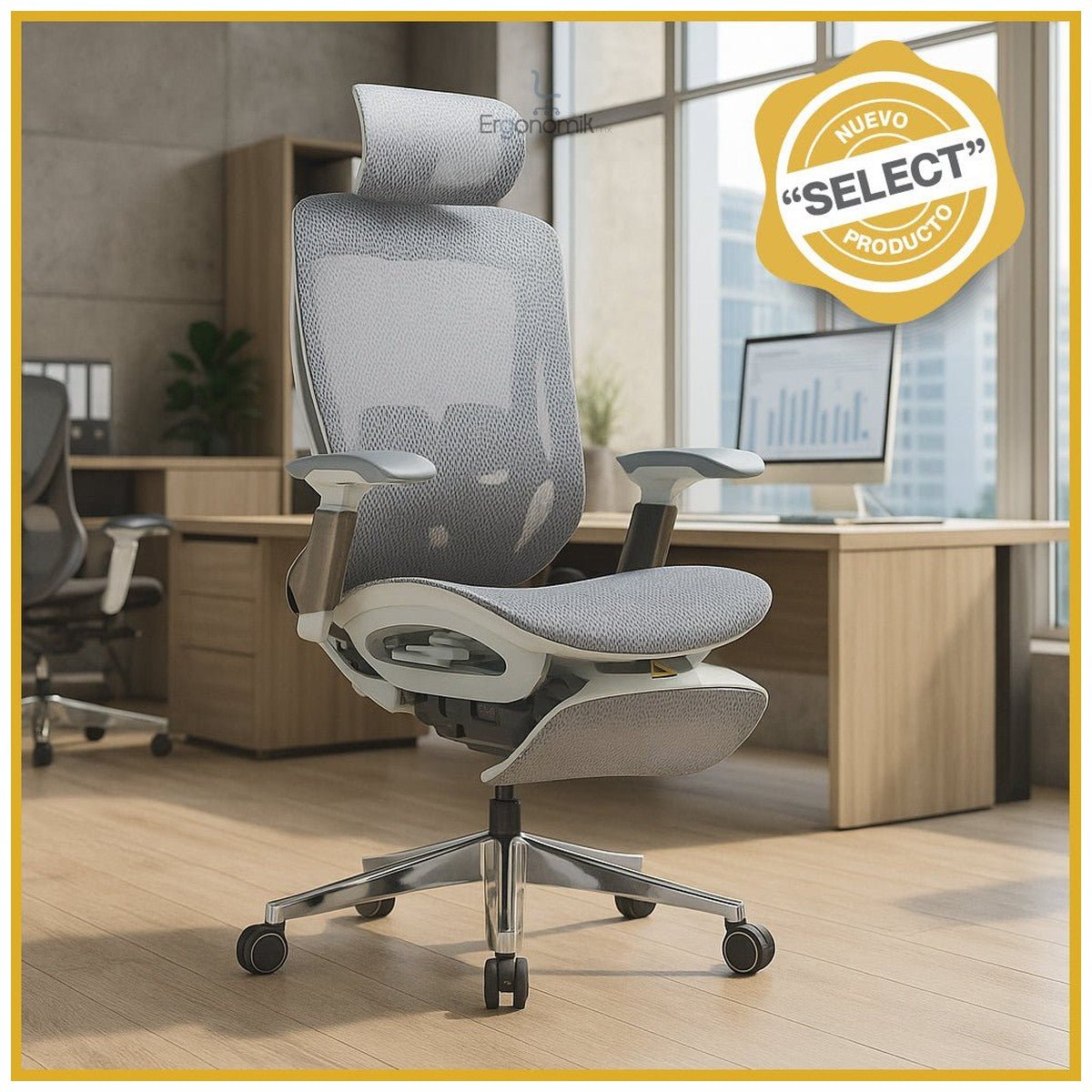 Silla Ejecutiva TH06 Mesh Gris y Descansapiés - Ergonomik silla ejecutiva OFIK