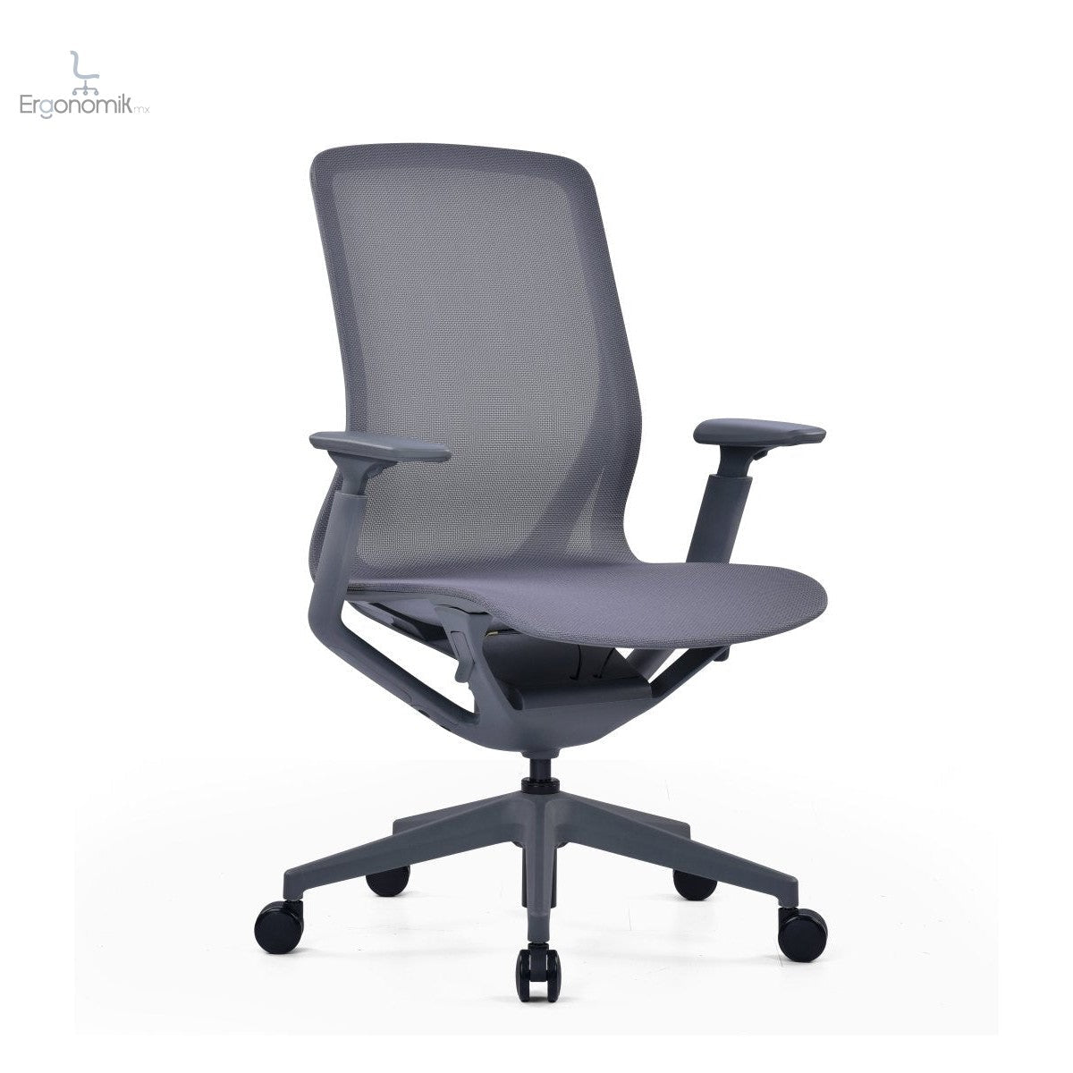 Silla Epic - Ergonomik silla ergonomica Office Class
