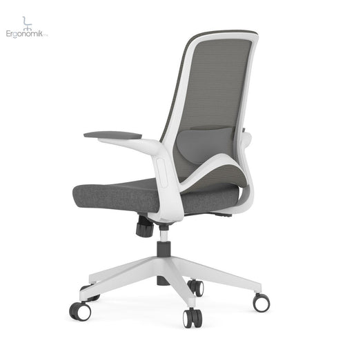 Silla Operativa Dolphin - Ergonomik