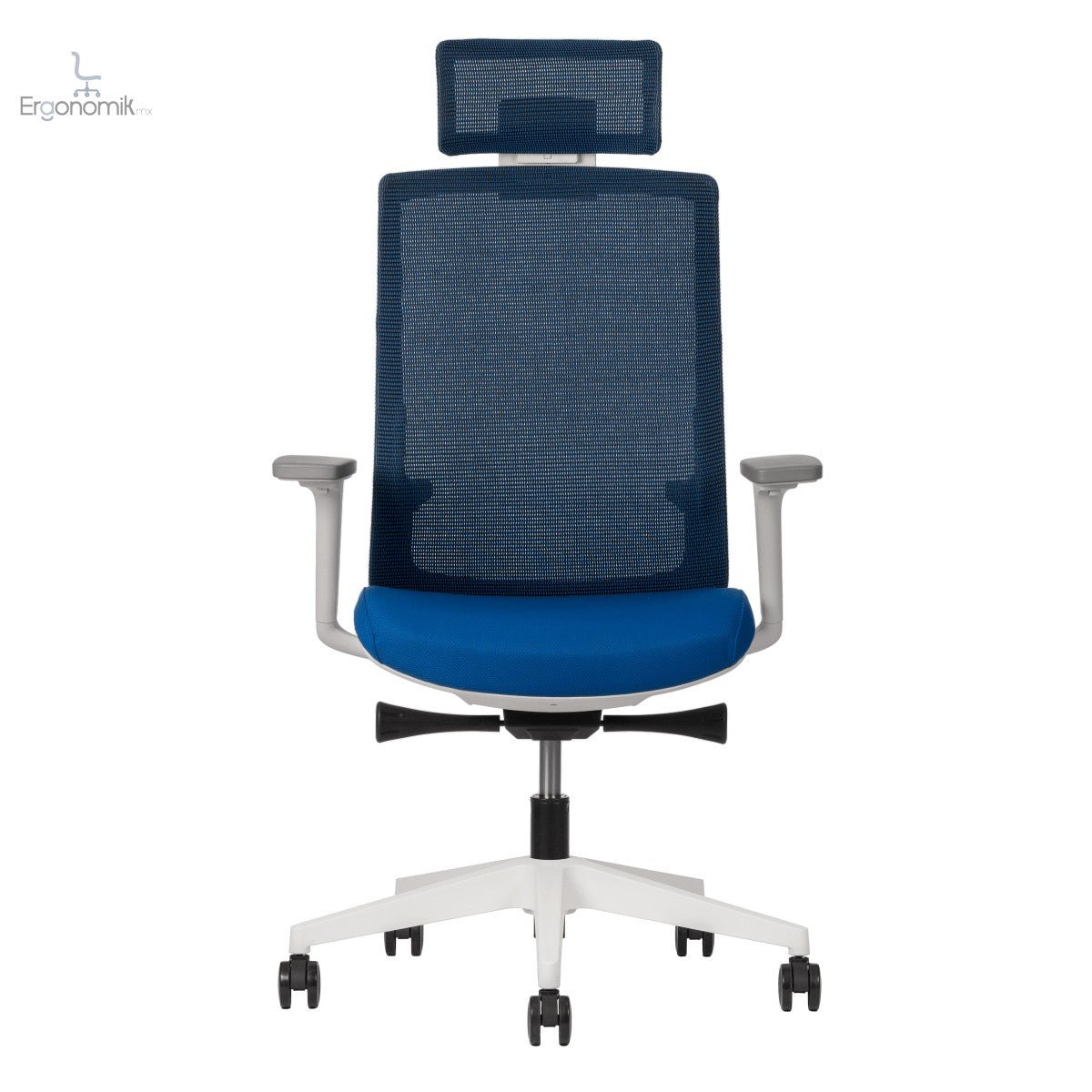 Silla Polar - Ergonomik silla ergonomica Office Class