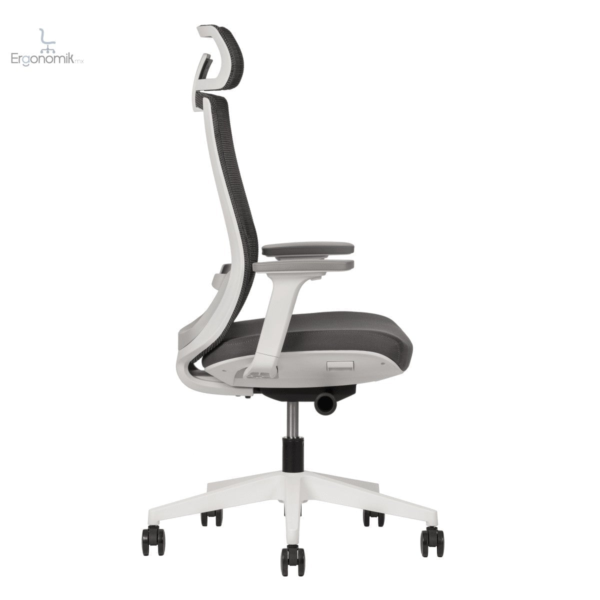 Silla Polar - Ergonomik silla ergonomica Office Class