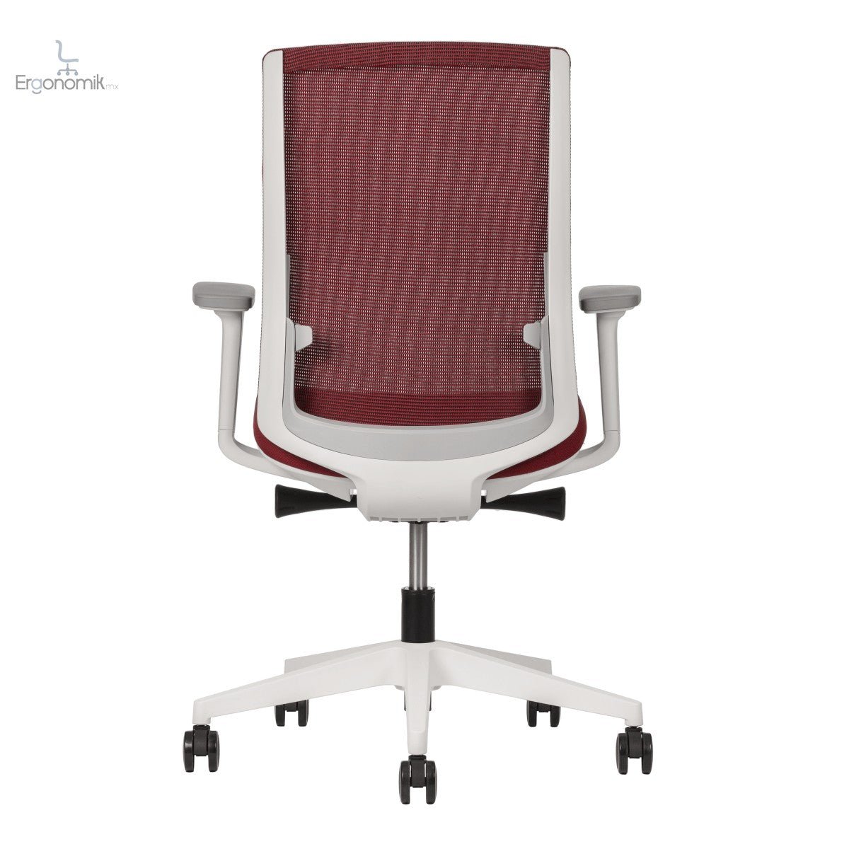 Silla Polar - Ergonomik silla ergonomica Office Class