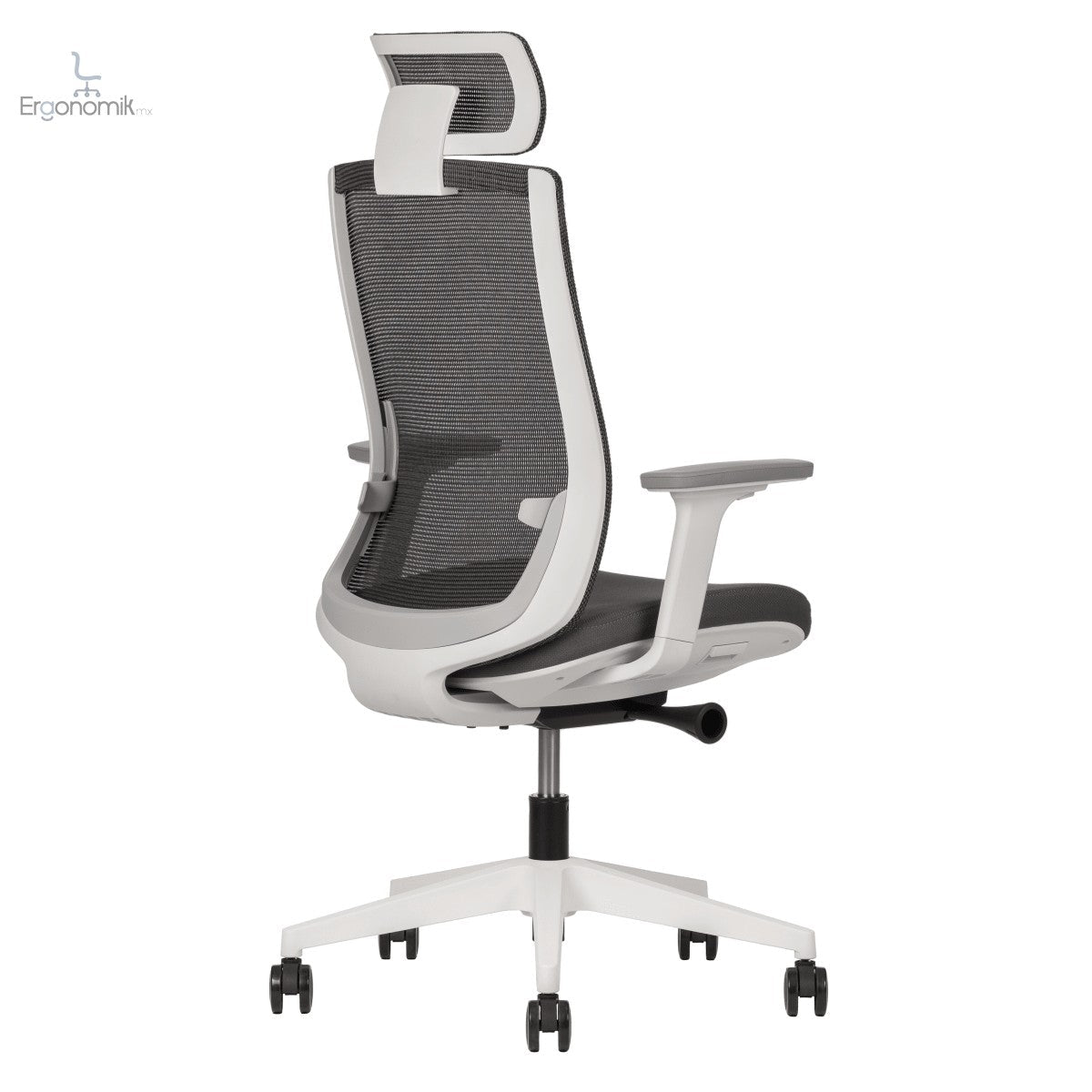 Silla Polar - Ergonomik silla ergonomica Office Class