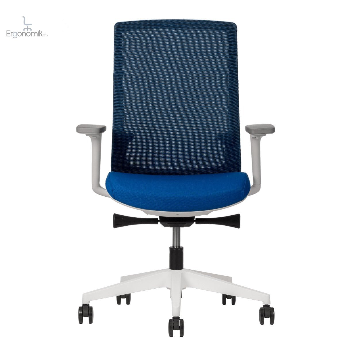 Silla Polar - Ergonomik silla ergonomica Office Class