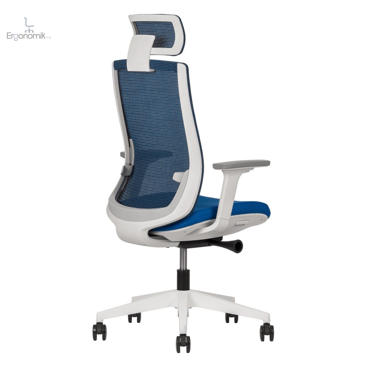 Silla Polar - Ergonomik silla ergonomica Office Class