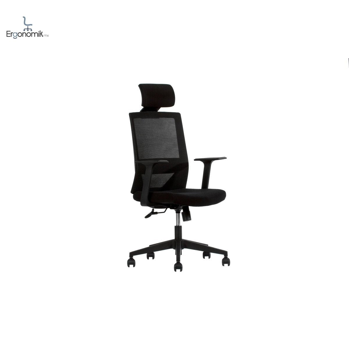 Silla Vision - Ergonomik silla ergonomica Office Class