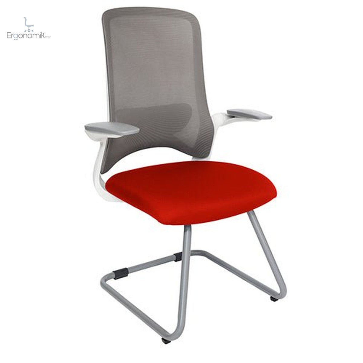 Silla Visita Dolphin - 2 piezas - Ergonomik silla de visita OFFIHO