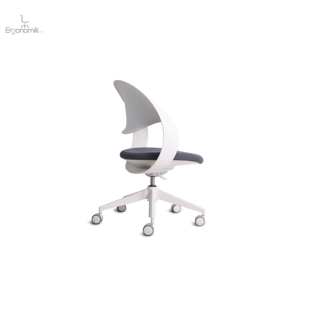 Sillón Montecarlo - Ergonomik banco MEM