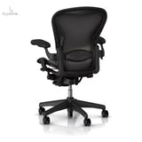 Soporte Lumbar Almohadilla De Apoyo Para Silla Herman Miller Classic Color Negro Talla B y C